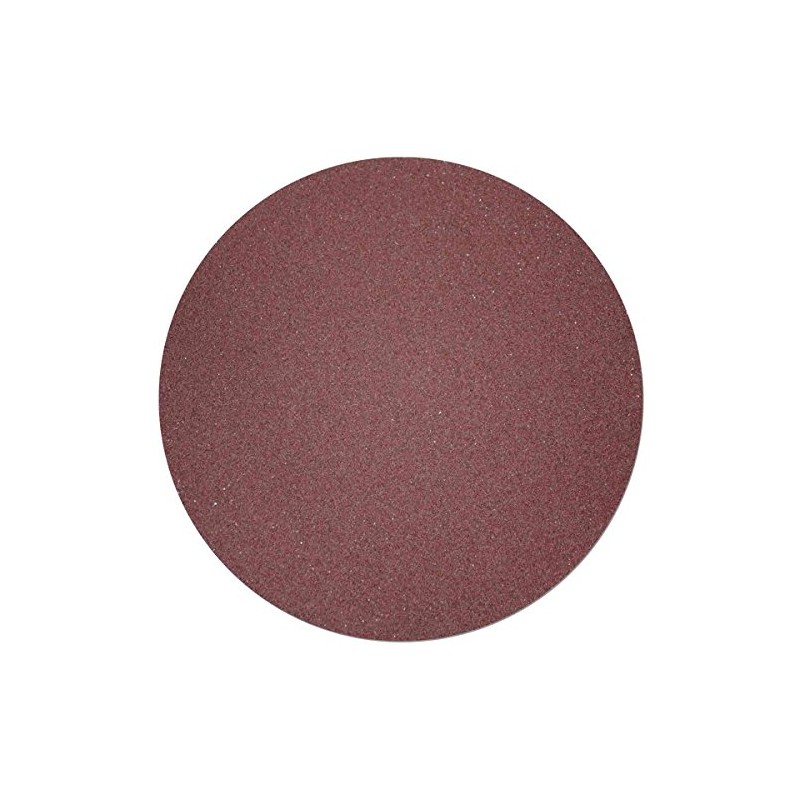 Radius 360 Sanding Discs (60 Grit - 25 Pack)