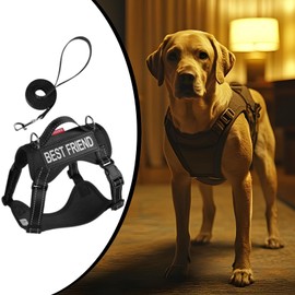 Dog Harness Set - Walking Escape Proof Adjustable Cat Vest Harness,Soft Lightweight Training Collar Adjustable Anti-Escape Pet Supplies for Running Walking Outdoor