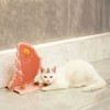 Wall Cat Self Groomer Removable Skin Friendly Fish Shape Rubbing