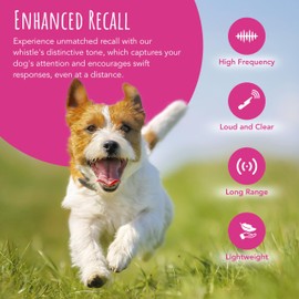 TDL Gun Dog Training Whistle with Lanyard - Dog Whistle with Loud, Solid Tone & Far Reaching Sound - Ideal High-Frequency Long-Distance Dog Recall Whistle for Most Breeds - Sky Blue with Rainbow Rope