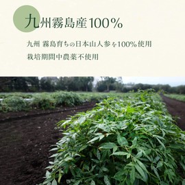 Japanese Mountain Carrot, Hyuga Toki, Powder, 3.5 oz (100 g) (Produced in Kirishima, Kyushu)