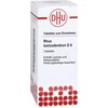 DHU Rhus Toxicodendron D6 for Rheumatic Pain - Tasteless, Pack