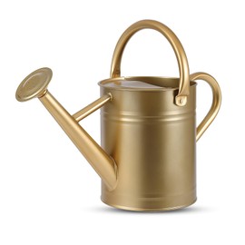 1 Gallon Watering Can for Plants, Watering Cans for Indoor&Outdoor Gardening, Galvanized Steel Watering Pot with Removable Spout, Metal Water Can with Ergonomic Movable Handle(Gold)