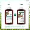 KLORANE [ANTI-HAIR LOSS] Quinine Shampoo (400ml) - For Thinning Hair