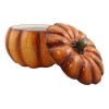 Ebros Home And Kitchen Orange Ceramic Pumpkin Soup Or Dessert