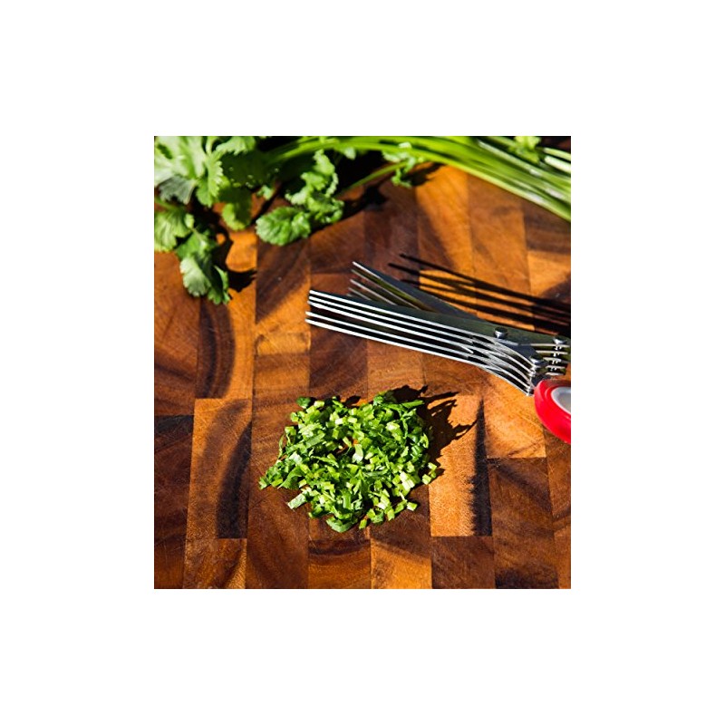 Red Herb Scissors For Cutting Onions, Chives & Rosemary. The