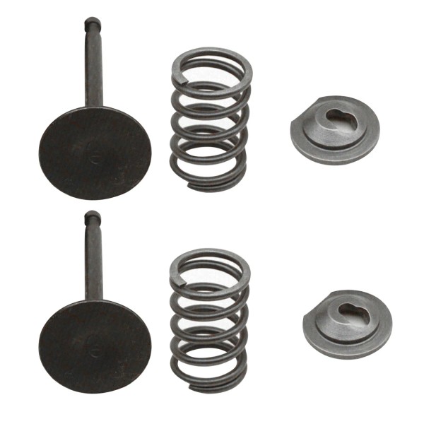 For Honda 1 Set Valve Springs For Honda GX160 GX200