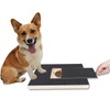Dog Nail Board Wooden Anxiety Free Sandpaper Dog Nail File