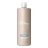 Paul Mitchell Champú Hidratante Instantáneo, Hidrata el Cabello Seco, 1