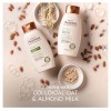 Aveeno Farm-Fresh Oat Milk Sulfate-Free Shampoo. New