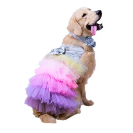 Puptail Dog Dress with Lovely Bow Puppy Dress Pet Apparel Dog Clothes for Small and Large Dogs and Cats XXL Multi Colored