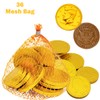 Fruidles Chocolate Coins in Mesh Bags, 10 Belgian Milk Chocolate