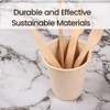 White Magic Eco Basics Biodegradable Sugar Cane Cup, 260 ml