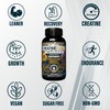 WellBoost WellBoost Creatine Gold C 5000mg Creatine Monohydrate, Vegan, Sugar-Free