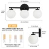 foucasal Black Globe Bathroom Light Fixtures 3-Light Vanity Light with