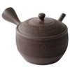 Tokocralabo Tokoname Ware 266349 Gyoku Kiln Teapot, Cera Mesh, Ceramic