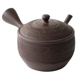 Tokocralabo Tokoname Ware 266349 Gyoku Kiln Teapot, Cera Mesh, Ceramic Tea Strainer, Approx. 8.5 fl oz (240 ml), Green Tea with Pine Bark Algae Pattern, Green Tea, Japanese Tea, Made in Japan