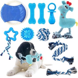 Juego de Juguetes para Perros de 10 Piezas - Juguetes Masticables, de Cuerda y Peluches para Cachorros y Perros Pequeños - Ideal para Morder, Jugar y Limpiar Dientes