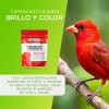 Pasta de Cría Factor Rojo 1kg Alamazonas Breeding Paste with
