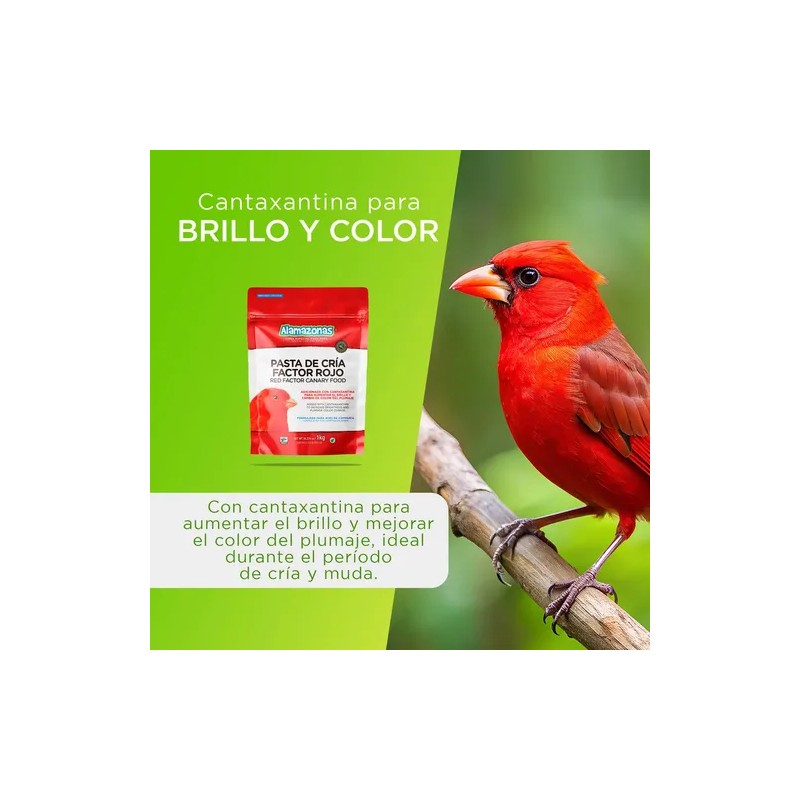 Pasta de Cría Factor Rojo 1kg Alamazonas Breeding Paste with