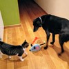 BABORUI Interactive Dog Toys Mouse, Escaping Mice Squeaky Dog Toy