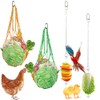 Chicken Veggies Skewer Vegetable Hanging Feeder Toy Chicken Fruit Feeder