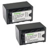 Kastar VBD58 Battery 2 Pack for Panasonic VW-VBD29 VW-VBD58 VW-VBD78