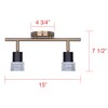 Canarm Elsee 2-Light Track Lighting Black and Gold with Clear