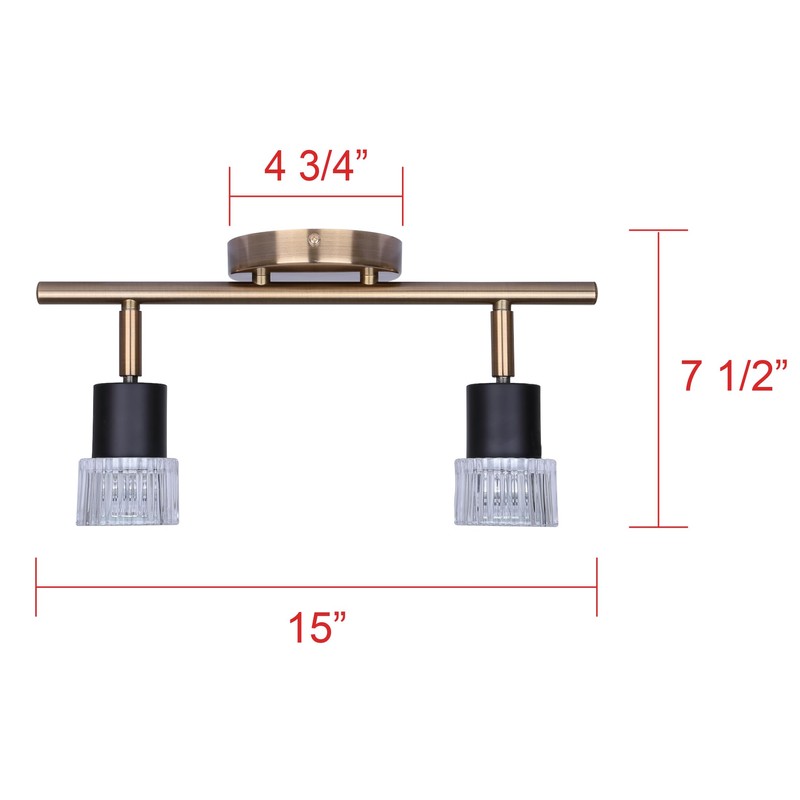 Canarm Elsee 2-Light Track Lighting Black and Gold with Clear