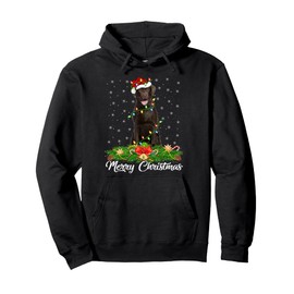 Xmas Lighting Decor Santa Labrador Retriever Dog Christmas Pullover Hoodie