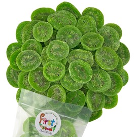 FirstChoiceCandy Sweetened Sliced Dried Kiwi, 1 Pound