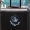Gray Cat Decal - Wall Hole Sticker with 3D Effect