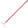 IUY Ventures's Carpet Rake and Groomer with 51" Handle Cleaning
