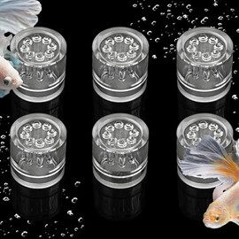 DQITJ 6 Pack Planaria Catch Trap Aquarium Snail Leech Clear Glass Trap for Dwarf Shrimp Cherry Shrimp (8 Holes Design)