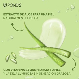 Ponds Fruity Hydra Fresh Gel Hidratante Facial con Aloe, Luminosidad y Frescura Sin Grasitud, 110g                                                    