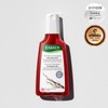 Rausch Willow Bark Treatment Shampoo 200ml / 라우쉬 윌로우바크 트리트먼트 샴푸 200ml