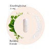 Kräuterhandel Sankt Anton – Iron capsules – 180 capsules –