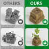 Rockwool Grow Cubes Set for Hydroponics - 21Ps Stonewool Starter