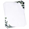 Eucalyptus Greenery Stationery Paper Letterhead Sheets 100 Pack Floral Green