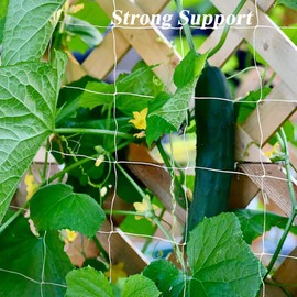 2 Pack Plant Climbing Net (5 Ft X 30 Ft), Horticultural Planting Plant Climbing Net, Heavy-Duty Polyester Garden Trellis Netting, for Tomatoes, Beans, Grapes and Other Vine Plants