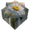HEKU 100 napkins, 3-ply, 33 x 33 cm, daisies, absorbent
