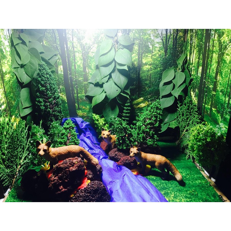 OrgMemory 36pcs Mixed Model Trees, 1.5-6 inch(4-16 cm), Model Grass,