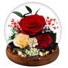MOKOQI MOKOQI Birthday Gifts for Women Preserved Red Real Rose