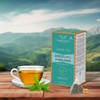 TeaNOURISH Darjeeling Himalayan Green Tea | 20 Count Pyramid Tea