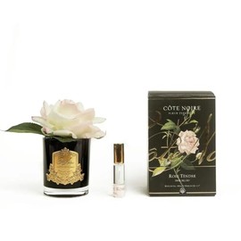Cote Noire Perfumed Natural Touch Rose - Pink Blush, Black Vase GMRB02
