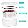 HOMETALL 4 Pack Fruit and Vegetable Storage Containers