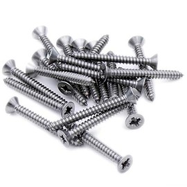 No.6 x 0.25 (3.5mm x 6.5mm) Pozi Countersunk Self-Tapping Screw - Stainless Steel (A2) (Pack of 20)