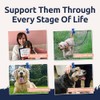 Collagen for Dogs | Dog Joint & Mobility Supplement with