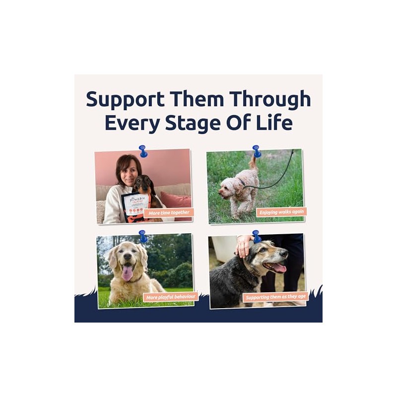 Collagen for Dogs | Dog Joint & Mobility Supplement with