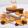 HYOOLA Scented Tealight Candles - Clear Cup - Winter Orange
